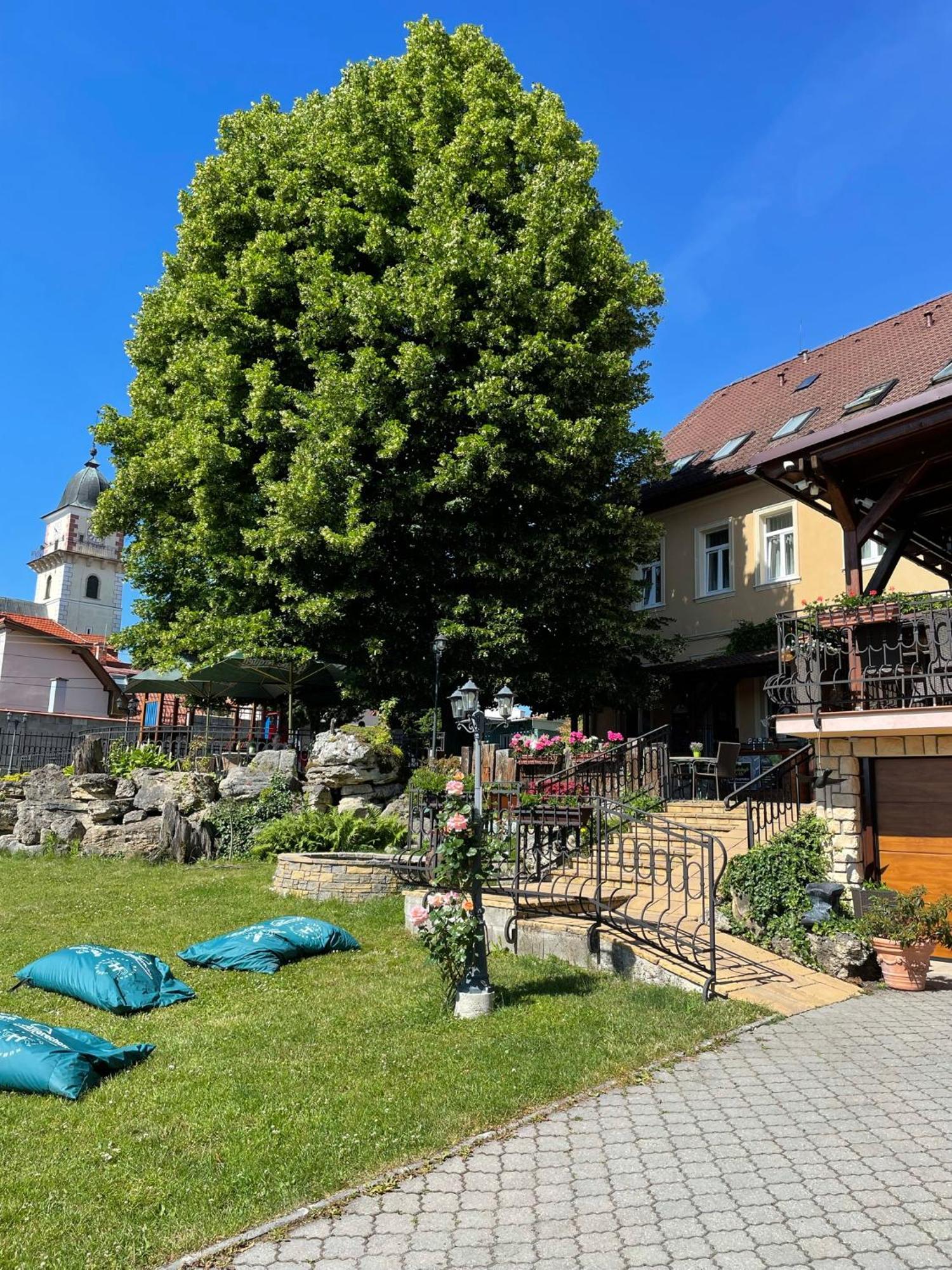 Hotel Lipa Бойниці Екстер'єр фото